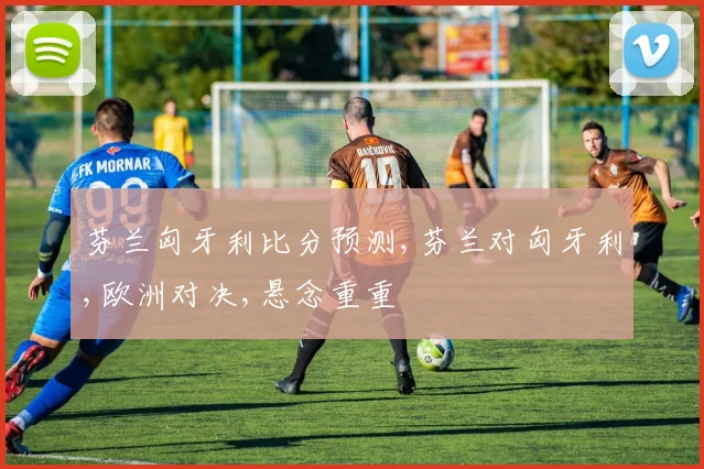 芬兰匈牙利比分预测,芬兰对匈牙利,欧洲对决,悬念重重