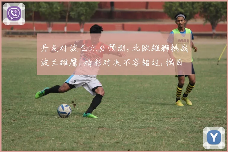 丹麦对波兰比分预测,北欧雄狮挑战波兰雄鹰,精彩对决不容错过,拭目以待