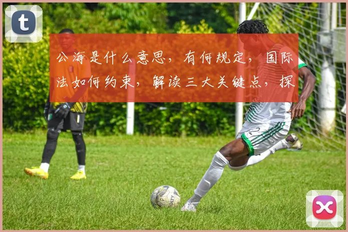 公海是什么意思，有何规定，国际法如何约束，解读三大关键点，探索海洋自由边界
